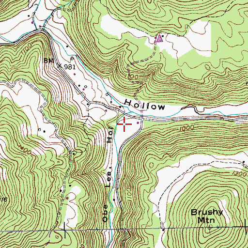 Topographic Map of Obe Lee Hollow, TN
