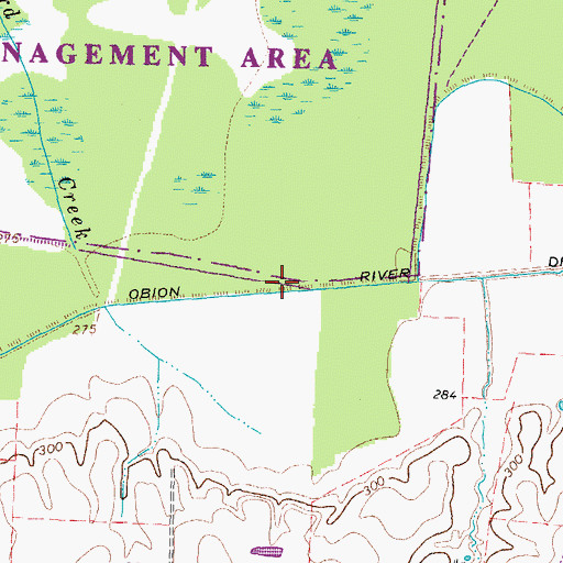 Topographic Map of Obion River Drainage Canal, TN
