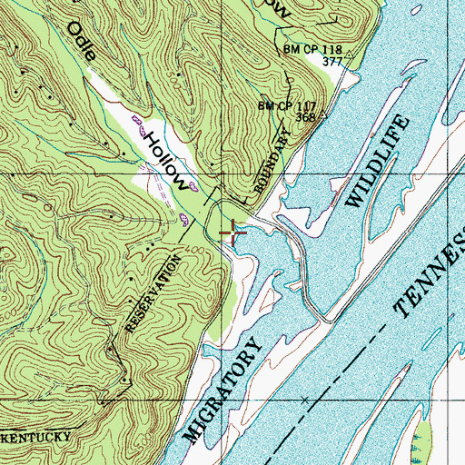Topographic Map of Odle Hollow, TN