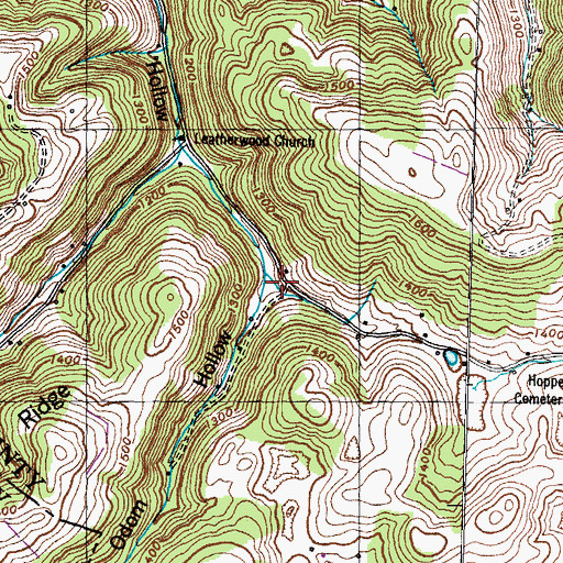 Topographic Map of Odom Hollow, TN