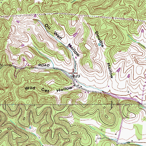 Topographic Map of Oil Well Hollow, TN