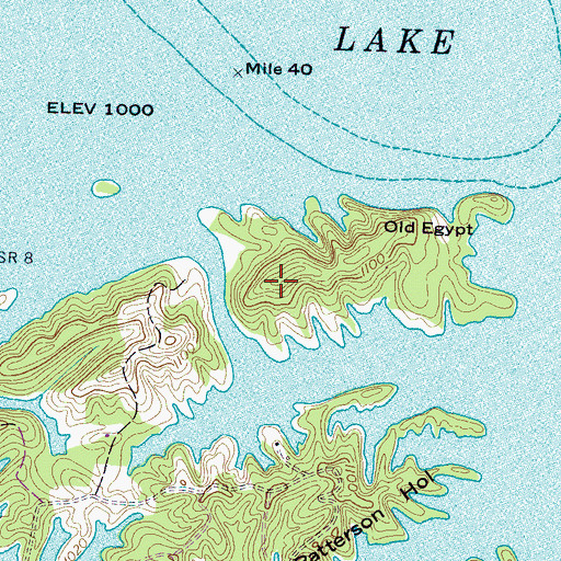 Topographic Map of Old Egypt, TN