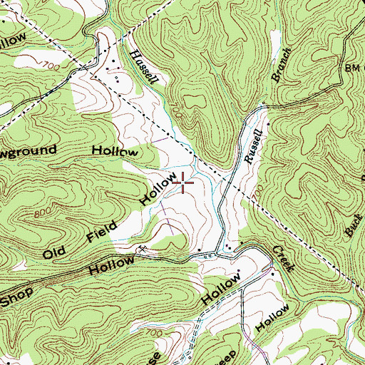 Topographic Map of Old Field Hollow, TN