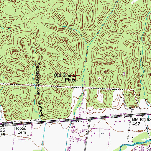 Topographic Map of Old Fields Place, TN