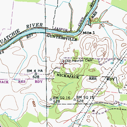 Topographic Map of Old Havron Cemetery, TN