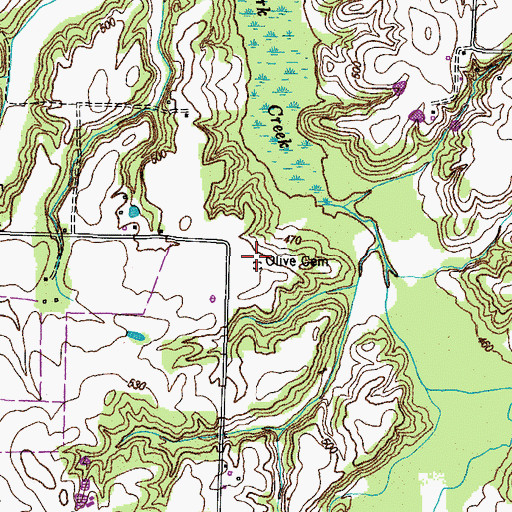Topographic Map of Olive Cemetery, TN