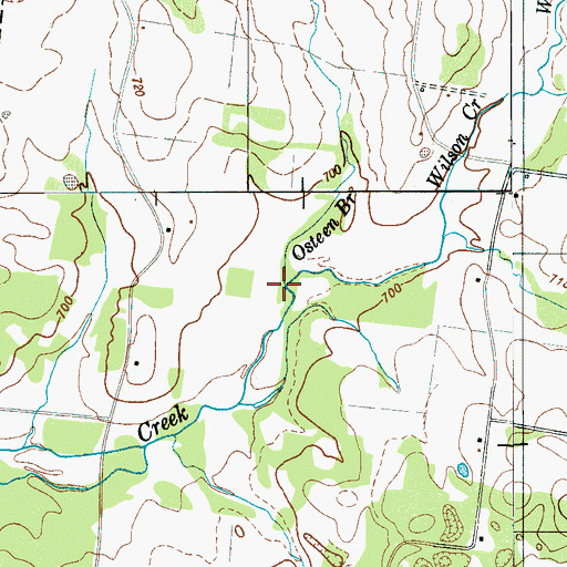 Topographic Map of Osteen Branch, TN