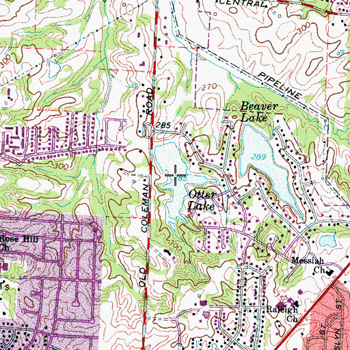 Topographic Map of Otter Lake, TN