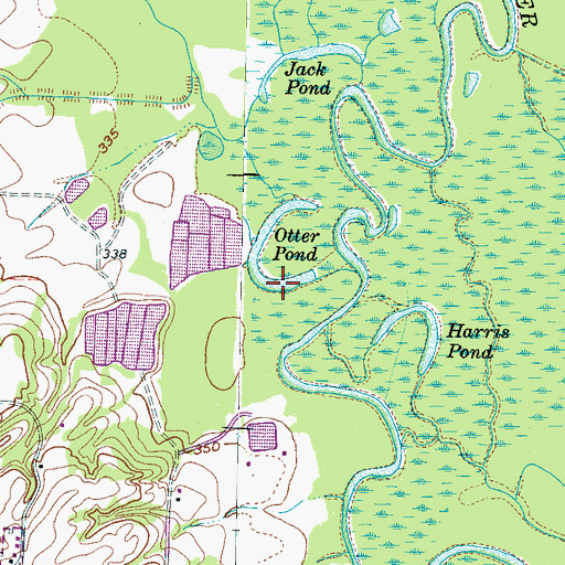 Topographic Map of Otter Pond, TN