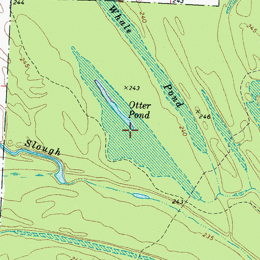 Topographic Map of Otter Pond, TN