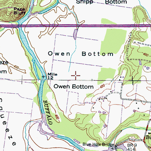 Topographic Map of Owen Bottom, TN