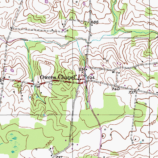 Topographic Map of Owens Chapel, TN