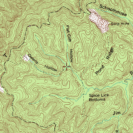 Topographic Map of Owens Hollow, TN