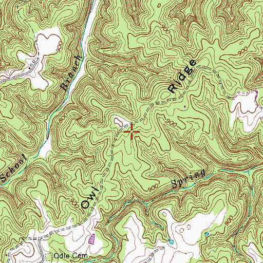 Topographic Map of Owl Ridge, TN
