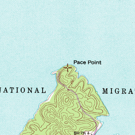 Topographic Map of Pace Point, TN