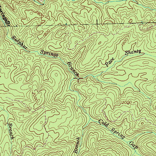 Topographic Map of Pace Shanty Branch, TN