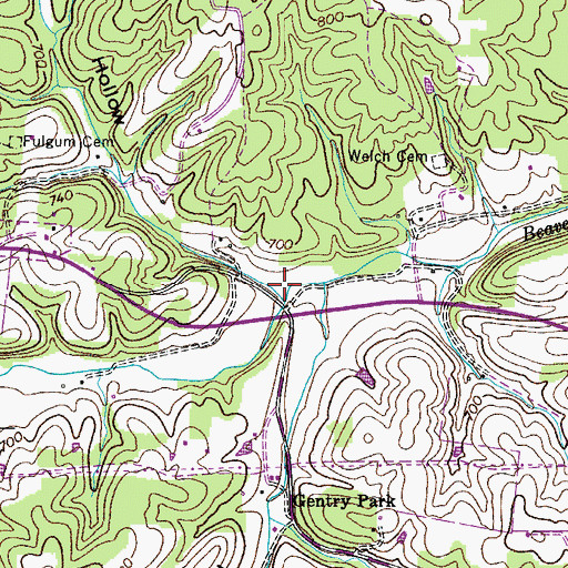 Topographic Map of Paine Hollow, TN