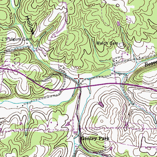 Topographic Map of Paine Hollow, TN