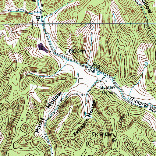 Topographic Map of Paint Hollow, TN