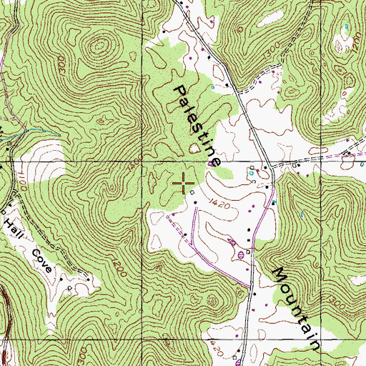 Topographic Map of Palestine Mountain, TN