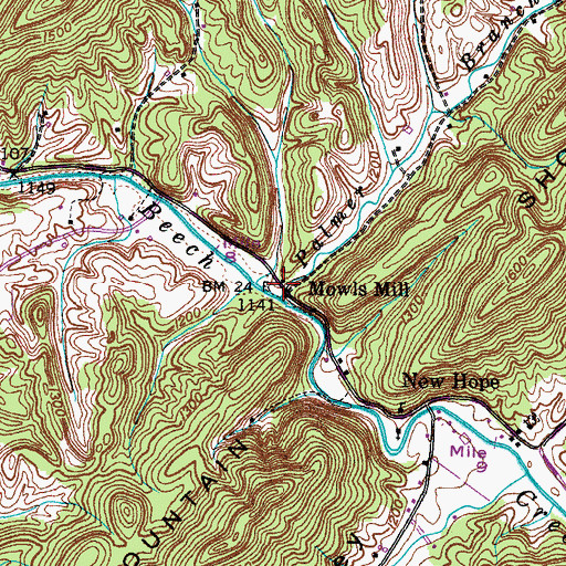 Topographic Map of Palmer Branch, TN