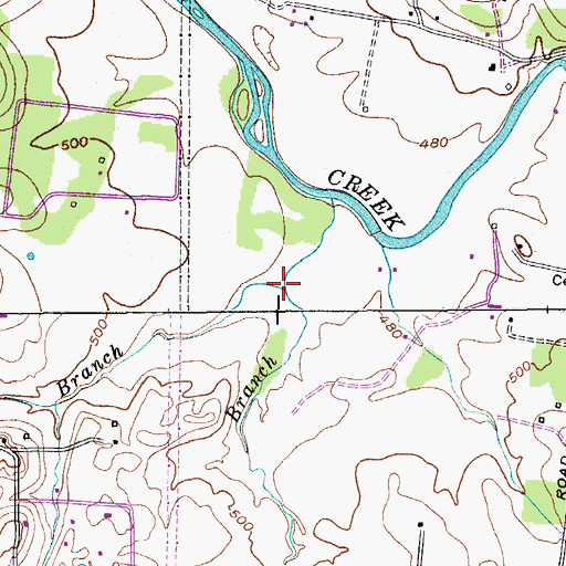 Topographic Map of Palmer Branch, TN