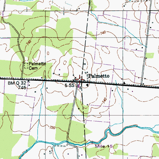 Topographic Map of Palmetto, TN