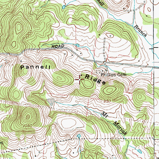 Topographic Map of Pannell Ridge, TN