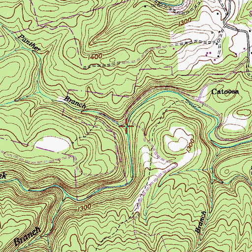 Topographic Map of Panther Branch, TN
