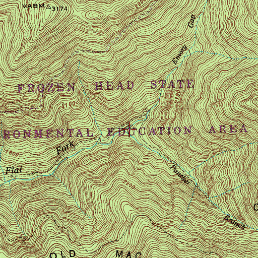 Topographic Map of Panther Branch, TN
