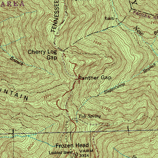 Topographic Map of Panther Gap, TN