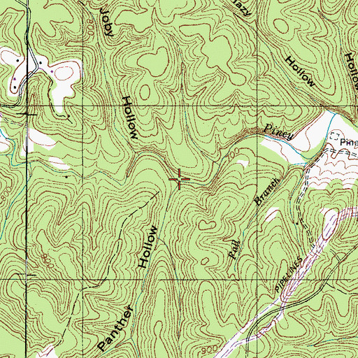 Topographic Map of Panther Hollow, TN
