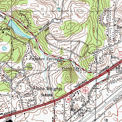 Topographic Map of Panther Springs, TN