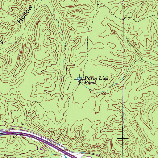 Topographic Map of Parm Lick Pond, TN