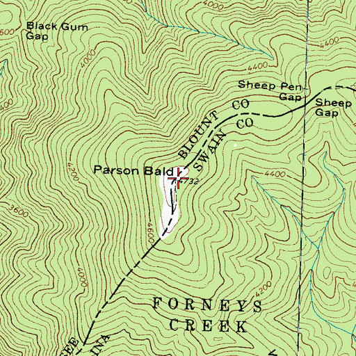 Topographic Map of Parson Bald, NC