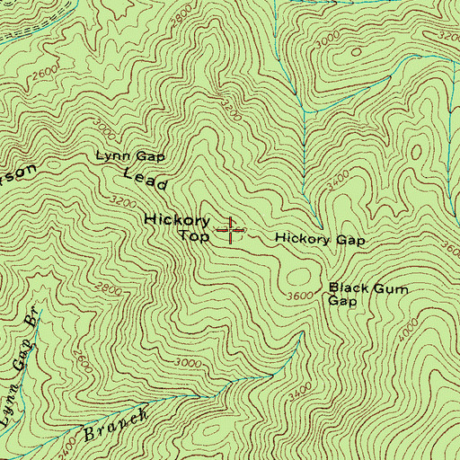 Topographic Map of Parson Lead, TN