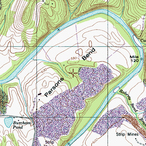 Topographic Map of Parsons Bend, TN