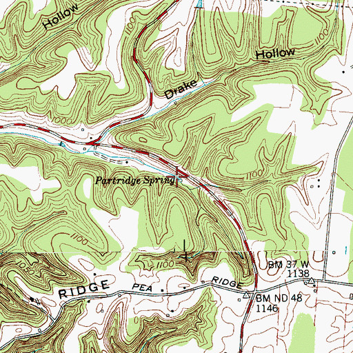 Topographic Map of Partridge Spring, TN