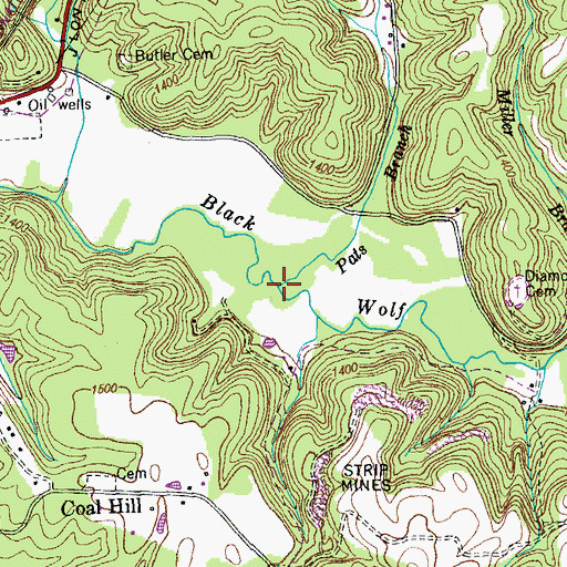 Topographic Map of Pats Branch, TN