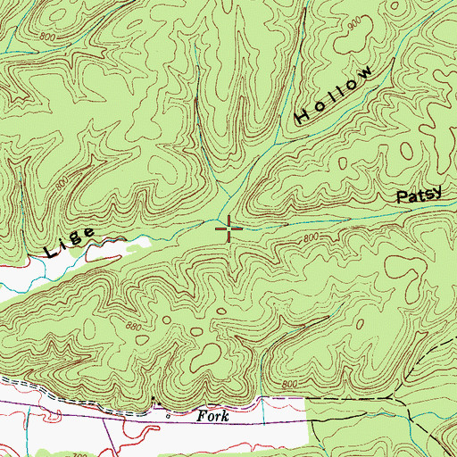 Topographic Map of Patsy Hollow, TN