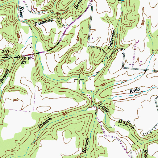 Topographic Map of Patterson Branch, TN