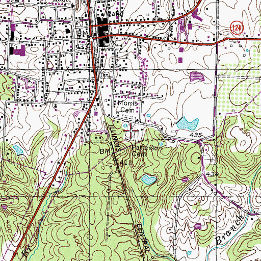 Topographic Map of Patterson Cemetery, TN