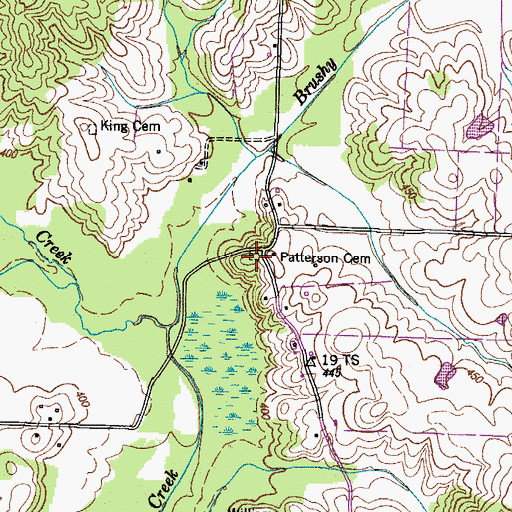 Topographic Map of Patterson Cemetery, TN