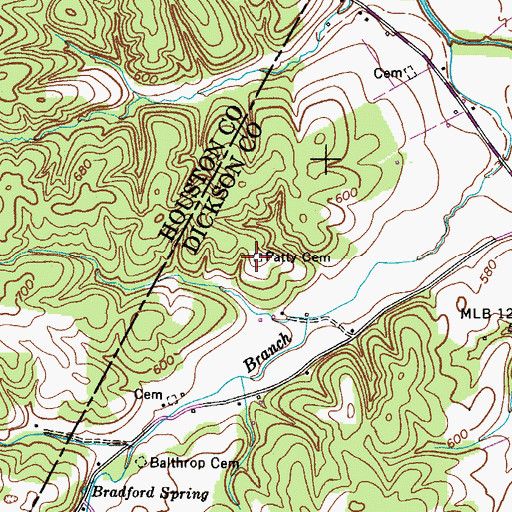 Topographic Map of Patty Cemetery, TN