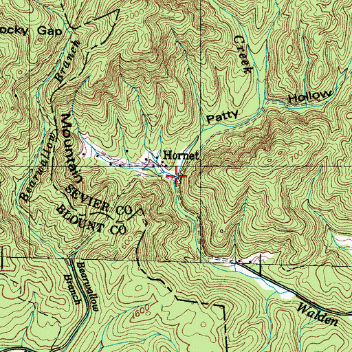 Topographic Map of Patty Hollow, TN