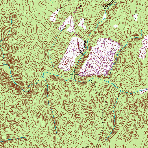 Topographic Map of Payne Branch, TN