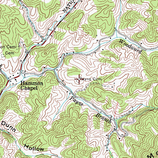 Topographic Map of Payne Cemetery, TN