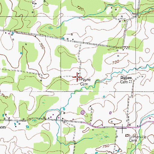 Topographic Map of Payne Cemetery, TN