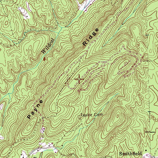 Topographic Map of Payne Ridge, TN