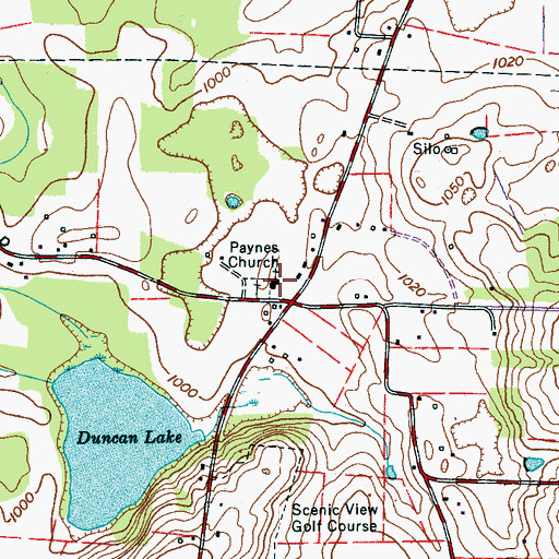 Topographic Map of Paynes Church, TN